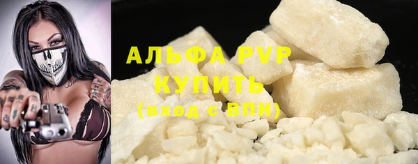 мет Алексин