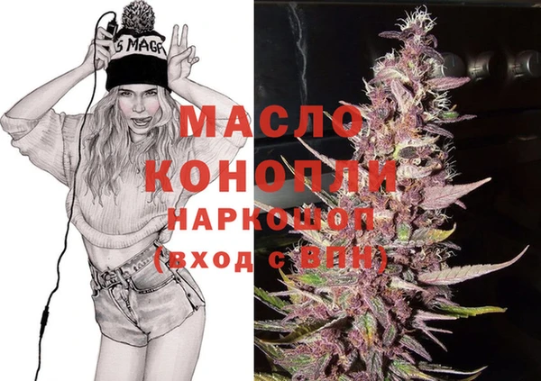 мет Алексин